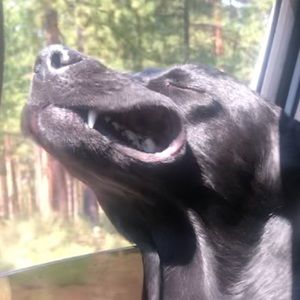 Meet your Posher, Ethan